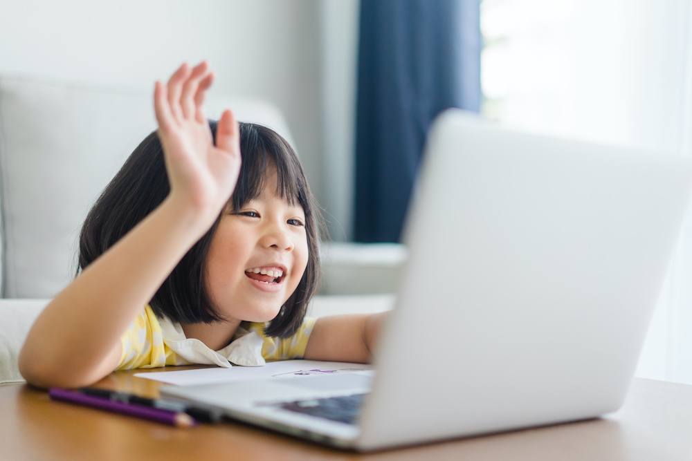 Telehealth Occupational Therapy Session